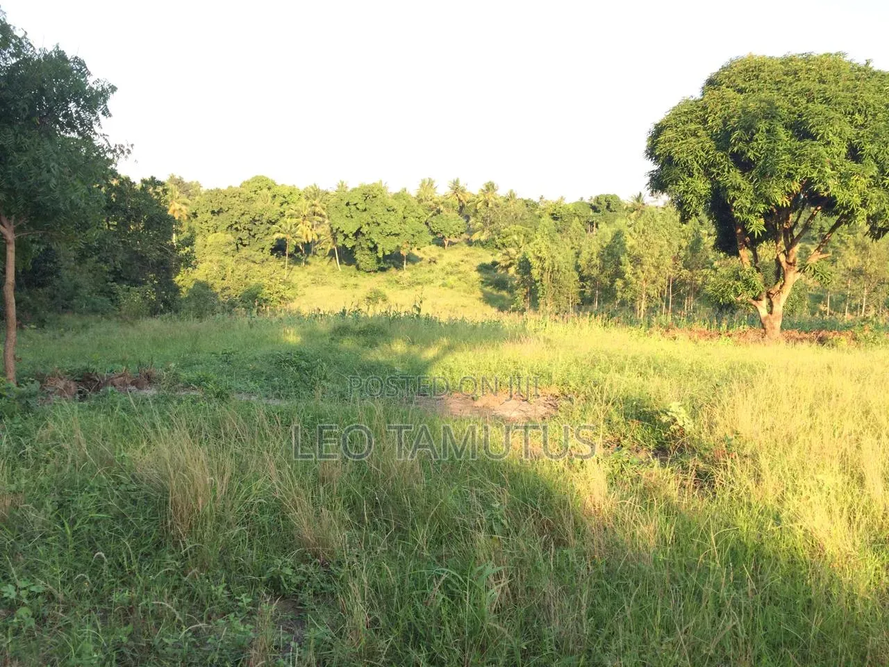 Prime Land for Sale