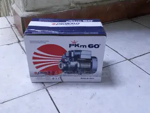 Pedrollo PKM 60 Water Pump – High Performance Domestic Booster Pump