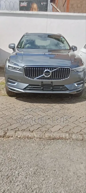 Volvo XC60 2020 Gray