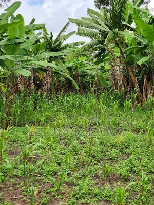 Developed 1-Acre Ngong-Oloolua