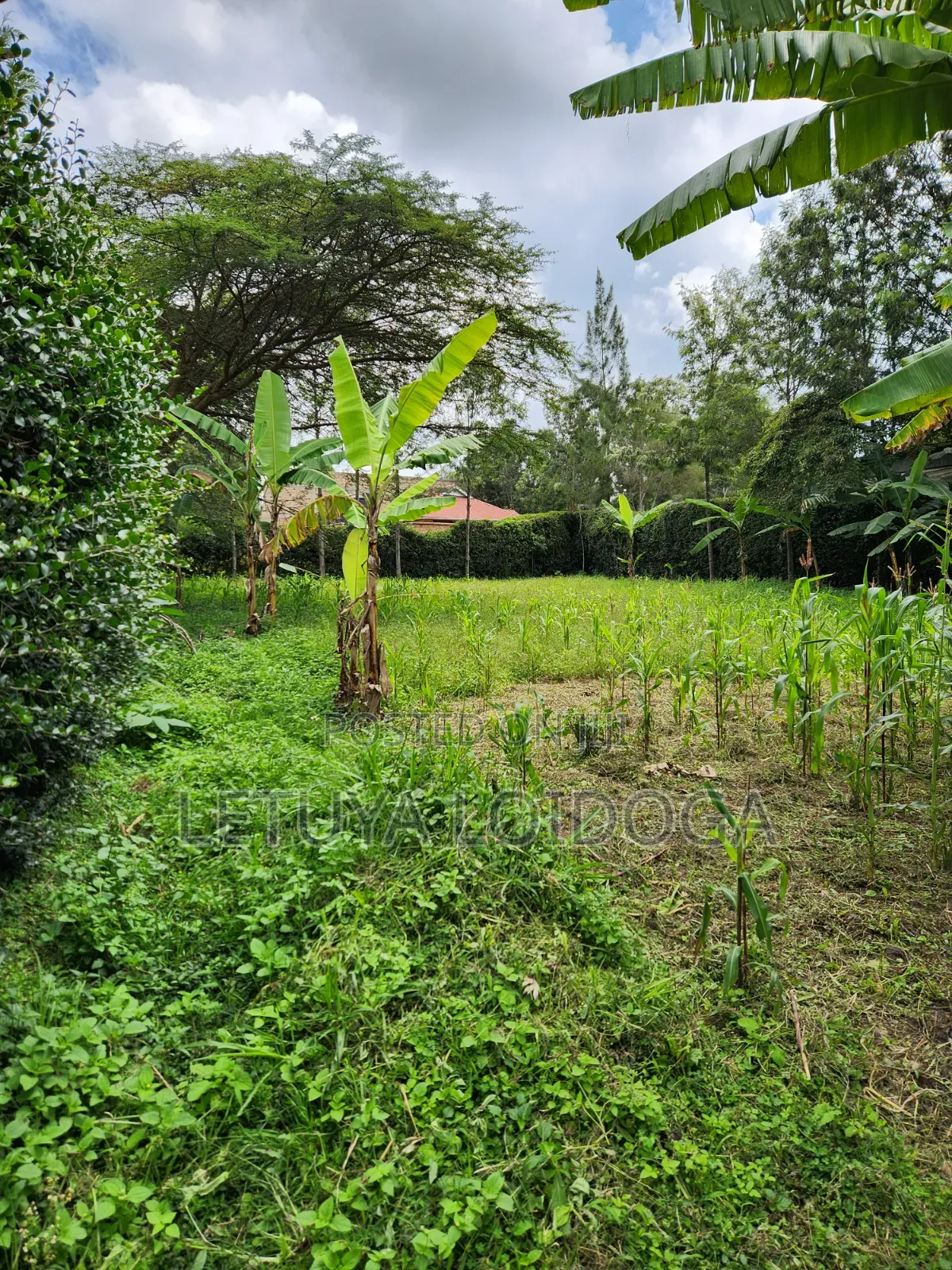 Developed 1-Acre Ngong-Oloolua