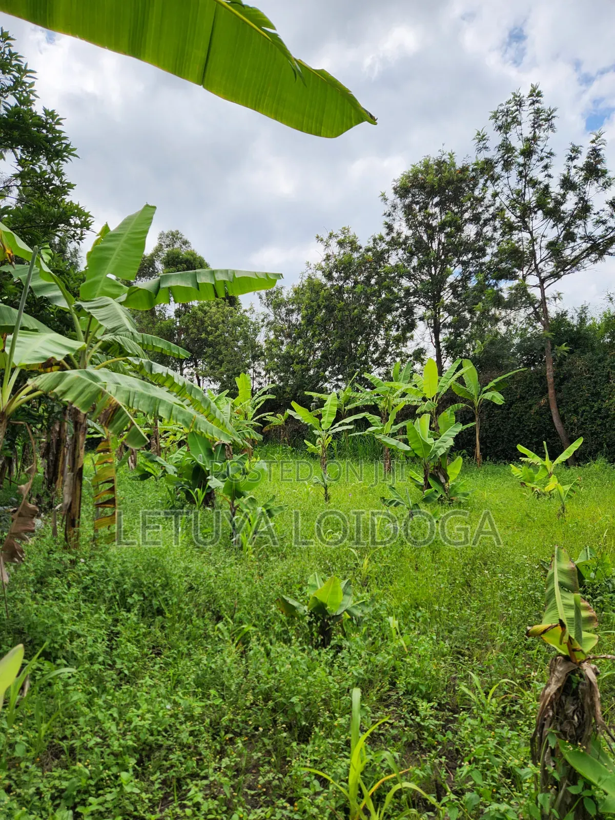 Developed 1-Acre Ngong-Oloolua