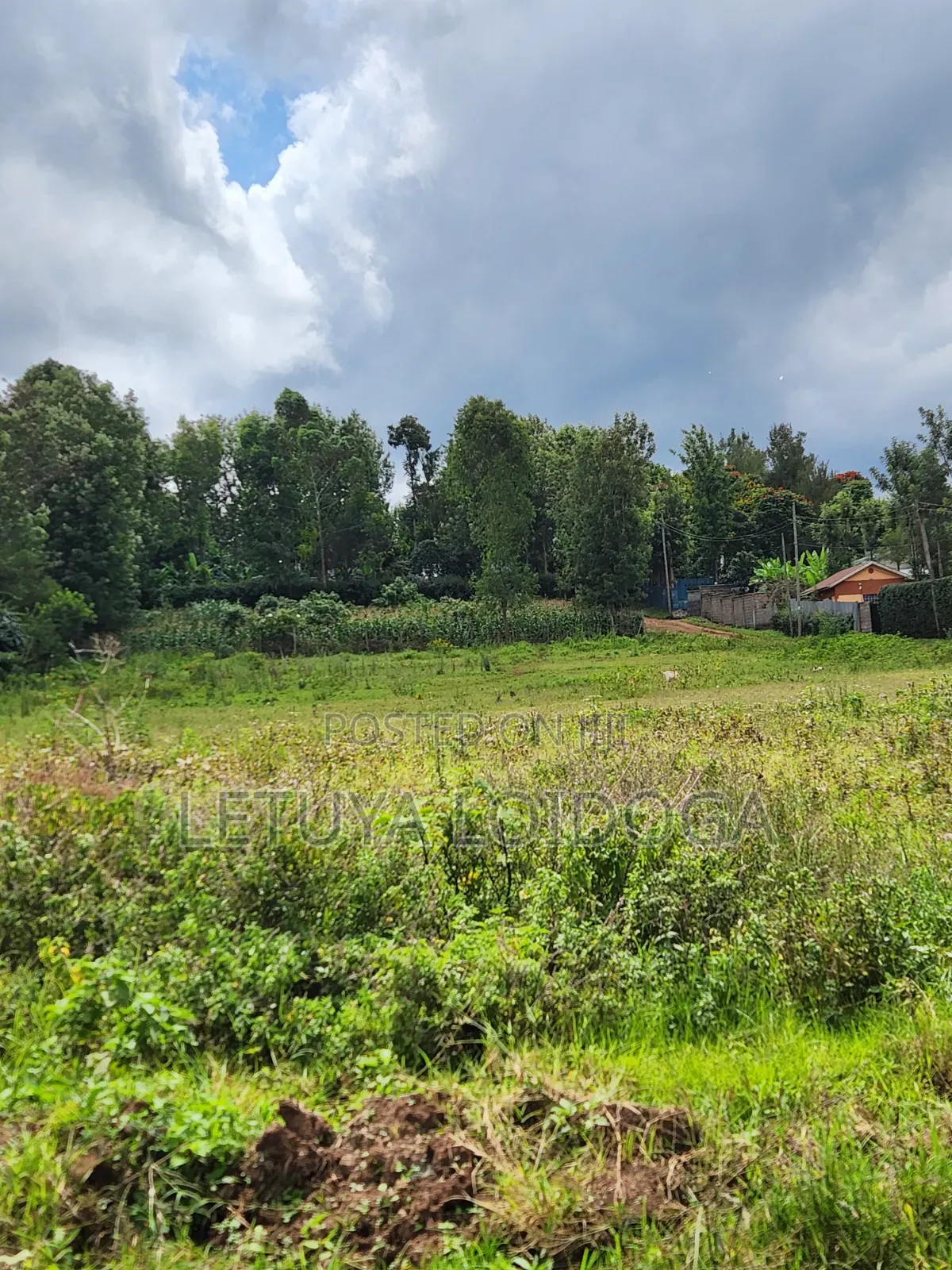 1⁄8 Acre Plots Ngong-Oloolua