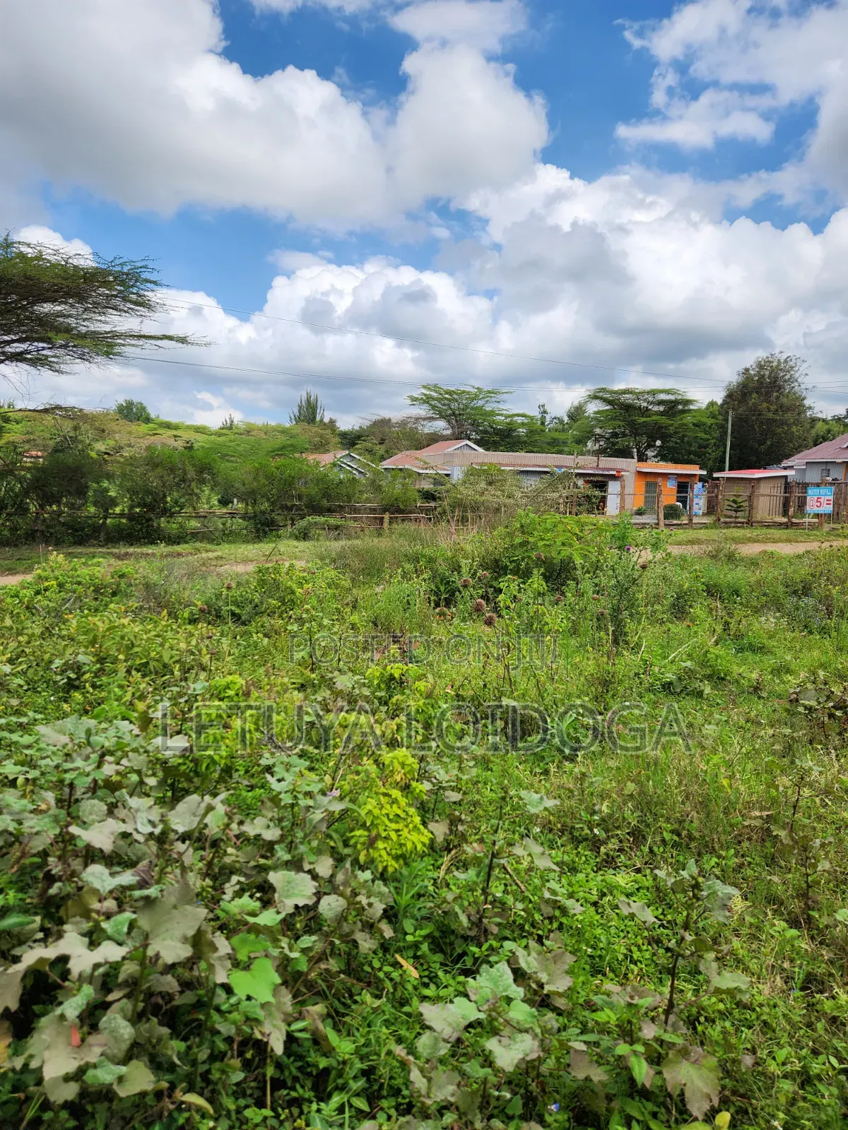 1⁄8 Acre Plots Ngong-Oloolua