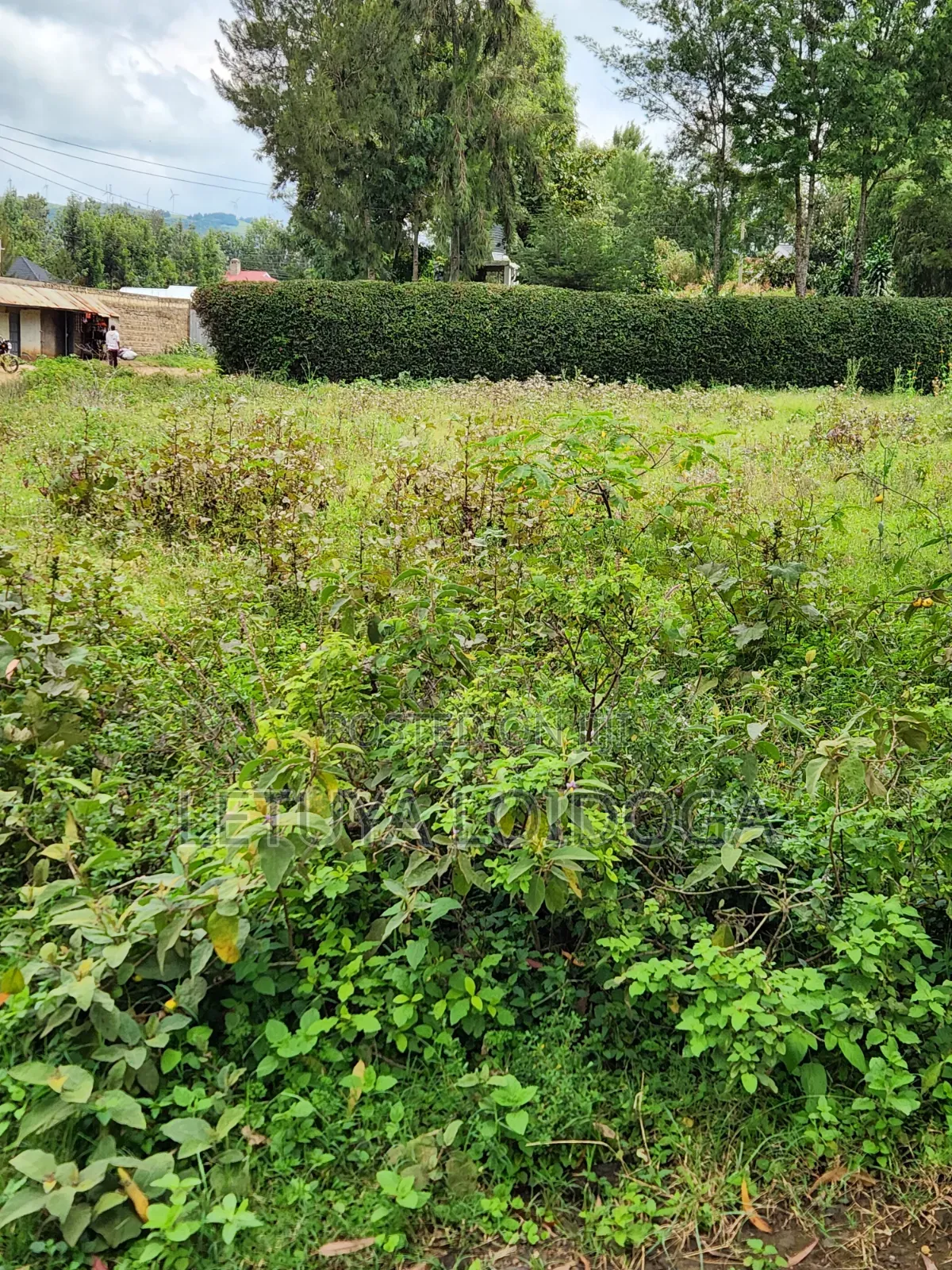 1⁄8 Acre Plots Ngong-Oloolua