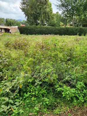 1⁄8 Acre Plots Ngong-Oloolua