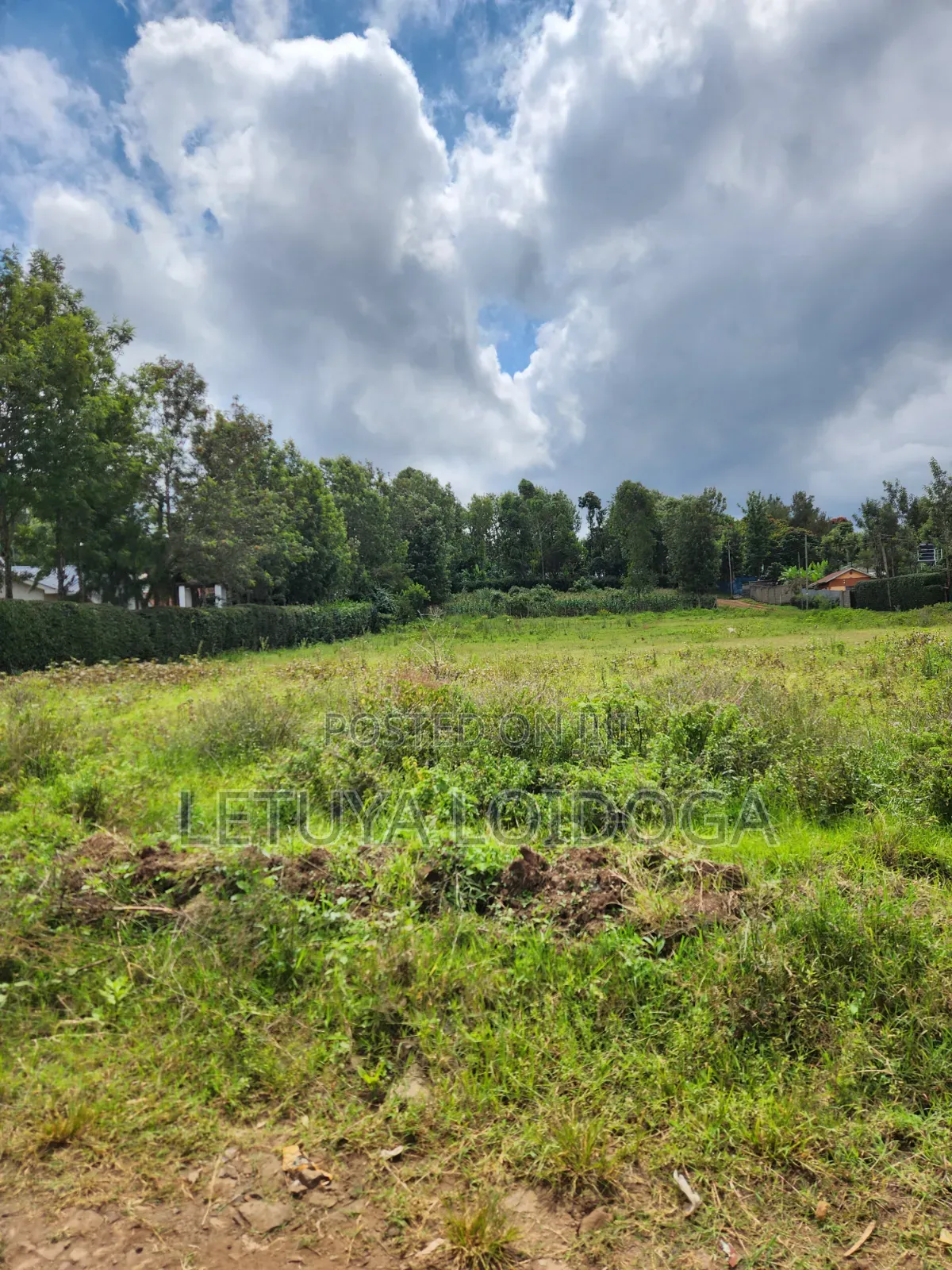 1⁄8 Acre Plots Ngong-Oloolua