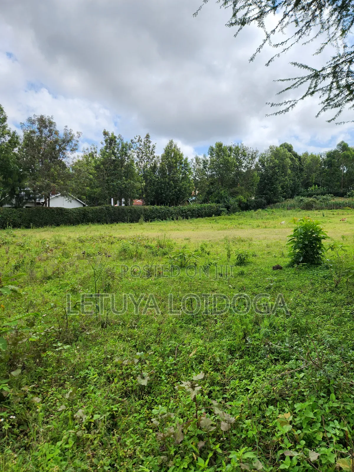 1⁄8 Acre Plots Ngong-Oloolua