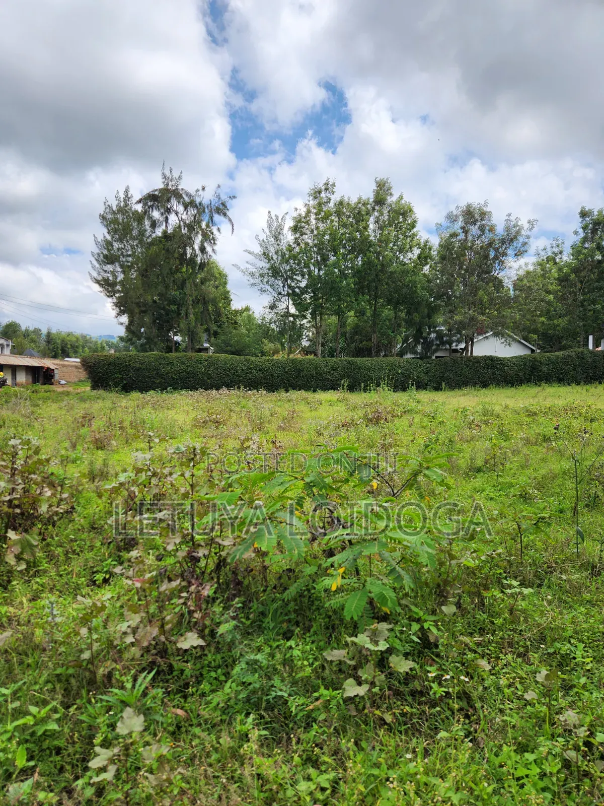 1⁄8 Acre Plots Ngong-Oloolua