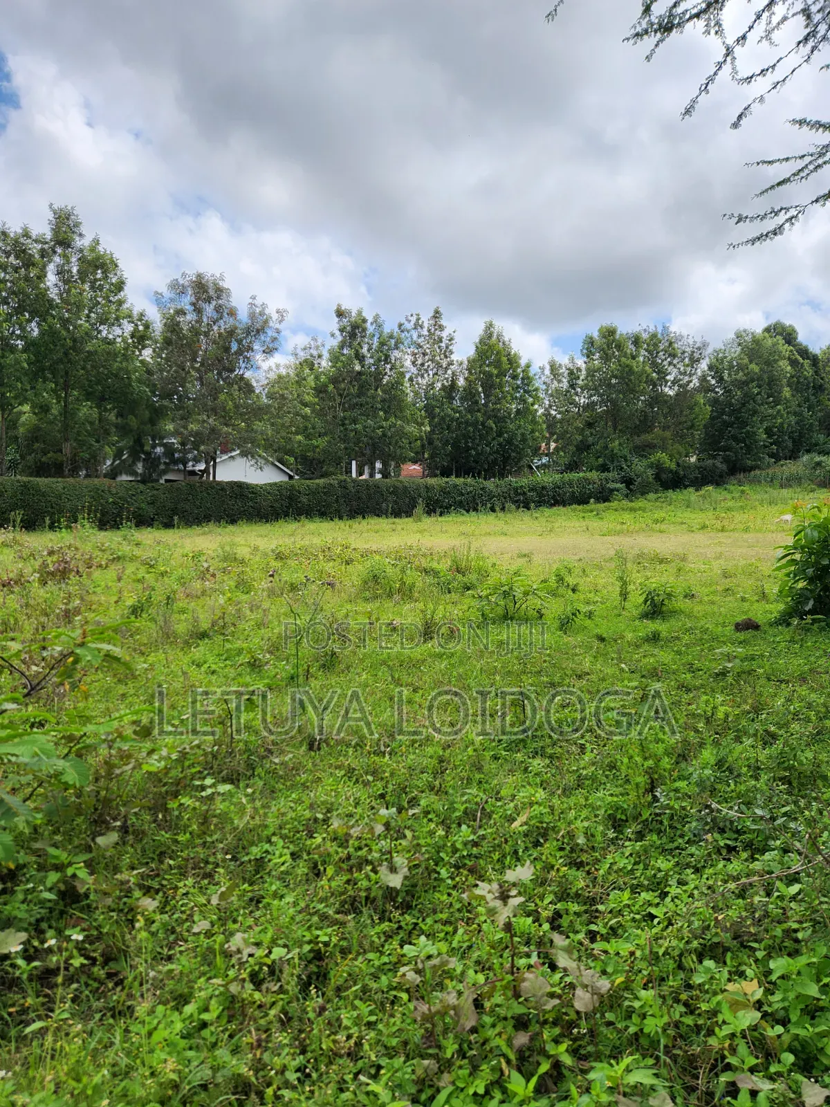 1⁄8 Acre Plots Ngong-Oloolua