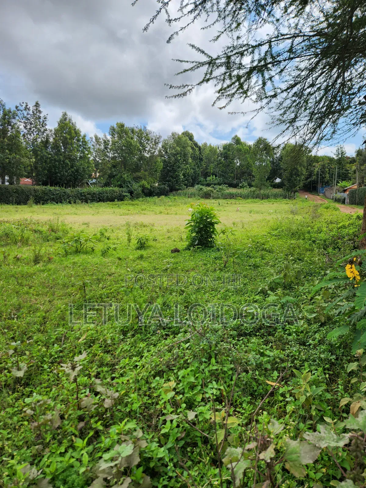 1⁄8 Acre Plots Ngong-Oloolua