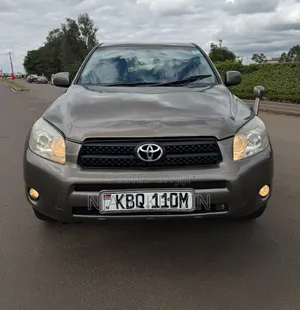 Toyota RAV4 2008 Brown