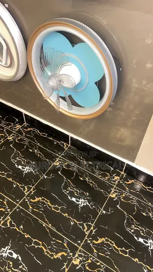 Ceiling Light With Fan
