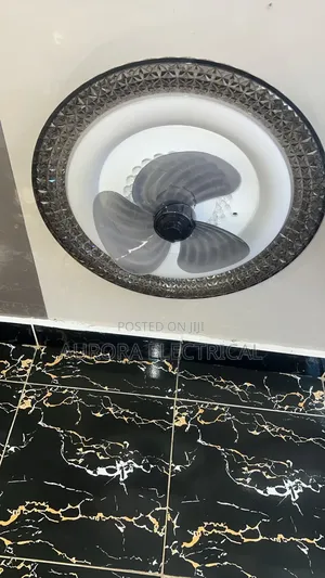 Ceiling Light With Fan