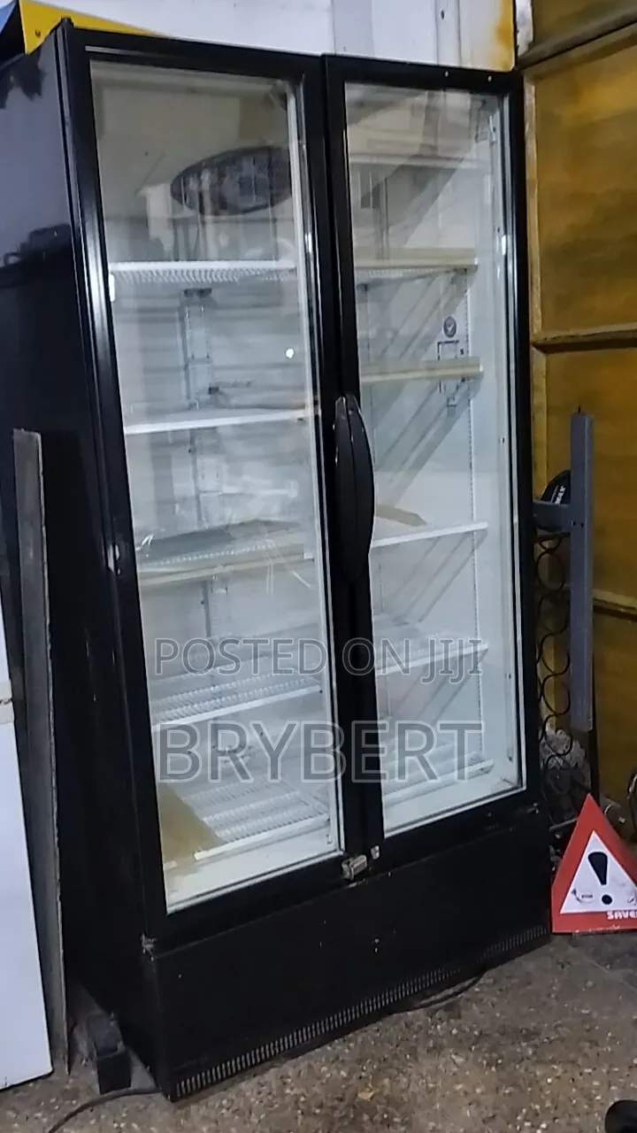Double Door Display Fridge