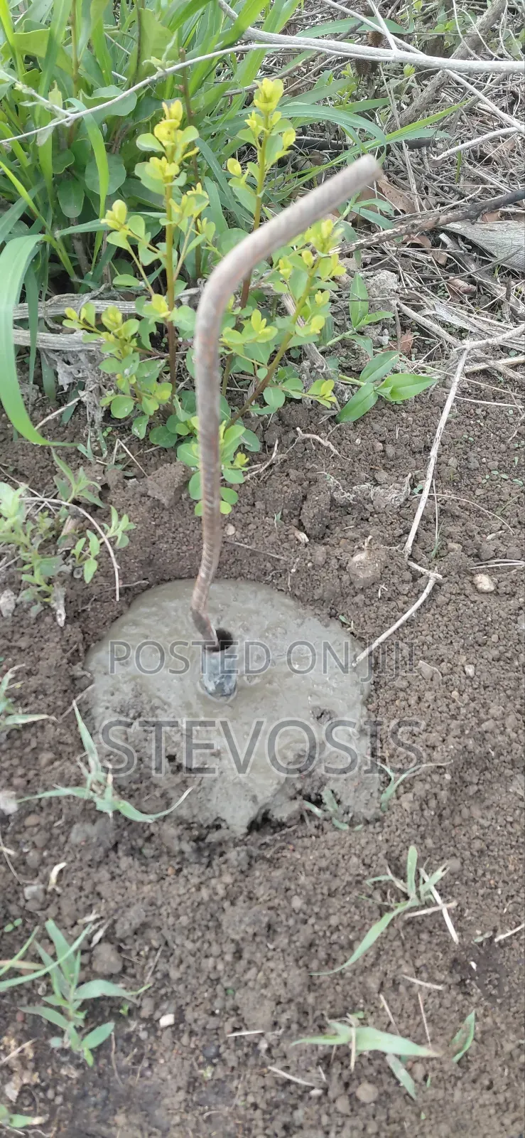 50 X 365 Land for Sale