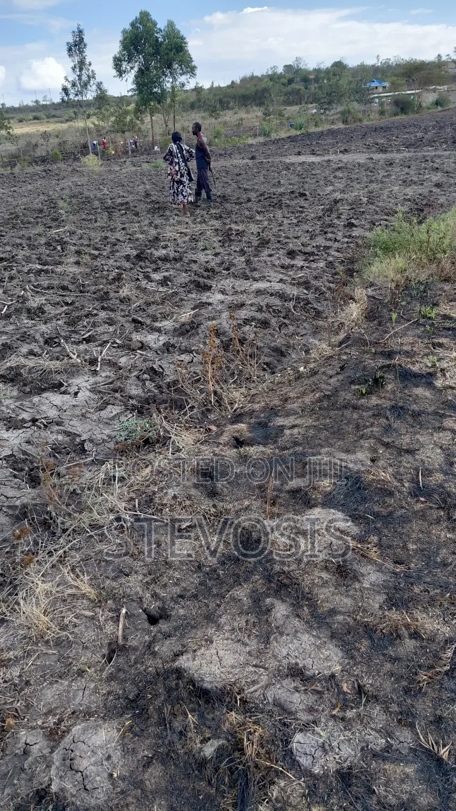 50 X 365 Land for Sale