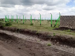 Prime 50x100 Plots - Ruiru (Mwalimu Farm)