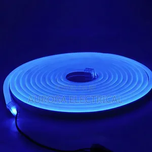 5 MTRS Neon Light
