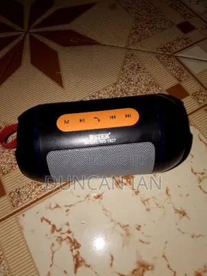 Wster Ws-1827 Portable Bluetooth Speaker