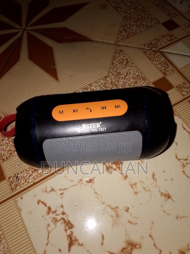 Wster Ws-1827 Portable Bluetooth Speaker
