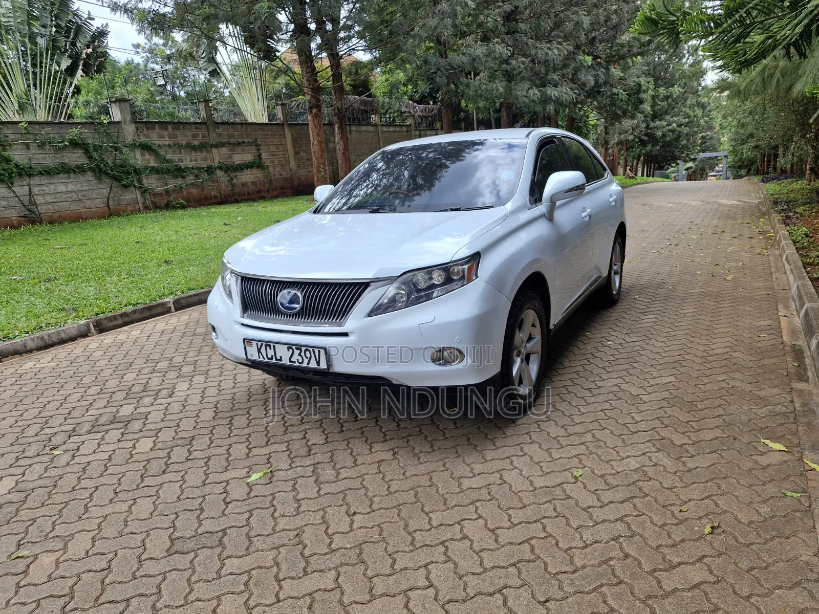Lexus RX 2011 White