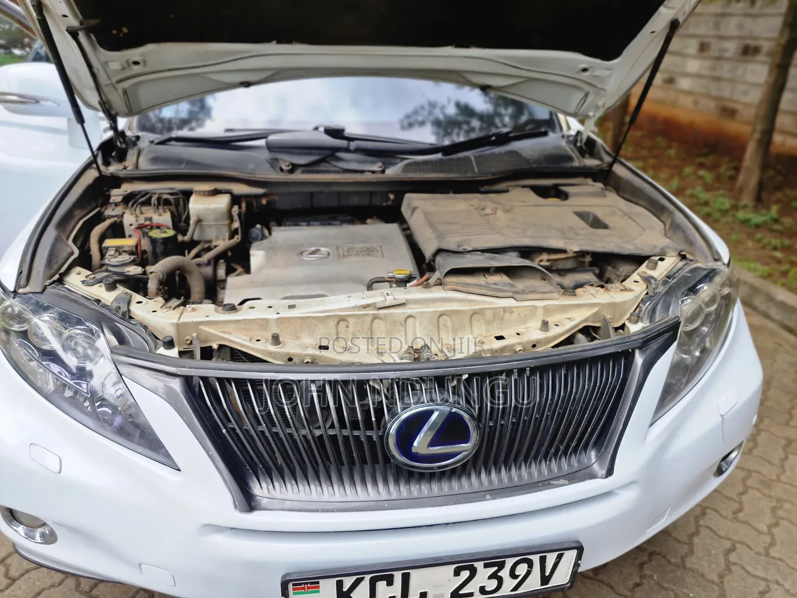 Lexus RX 2011 White