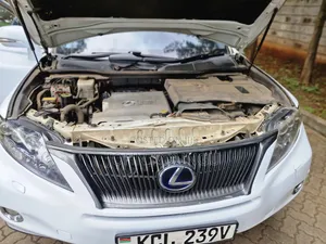 Lexus RX 2011 White