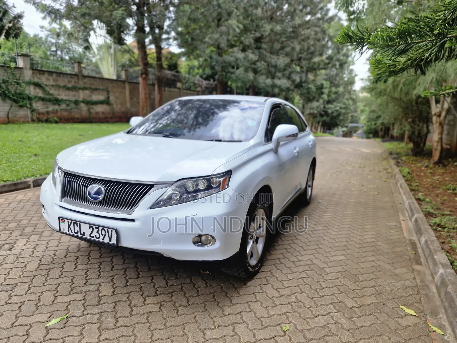 Lexus RX 2011 White