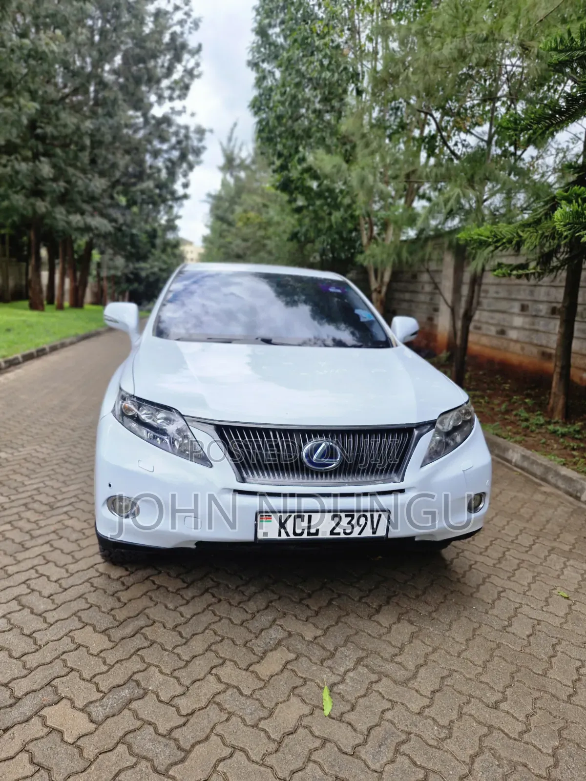 Lexus RX 2011 White