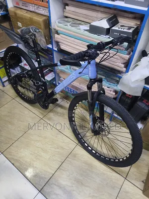 Teenage Bikes