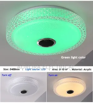 Music Led Ceiling Light