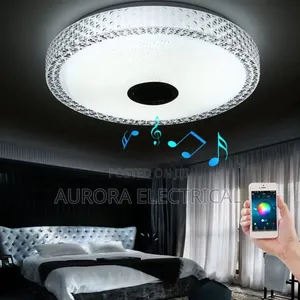 Music Led Ceiling Light