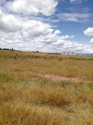 Four Acres of Land