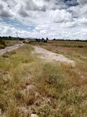 Four Acres of Land