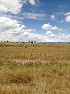 Four Acres of Land