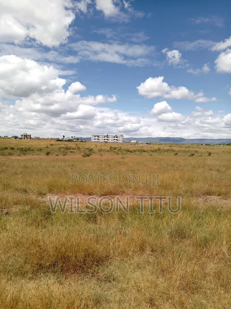 Four Acres of Land