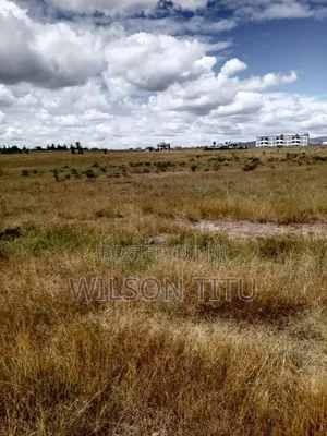 Four Acres of Land