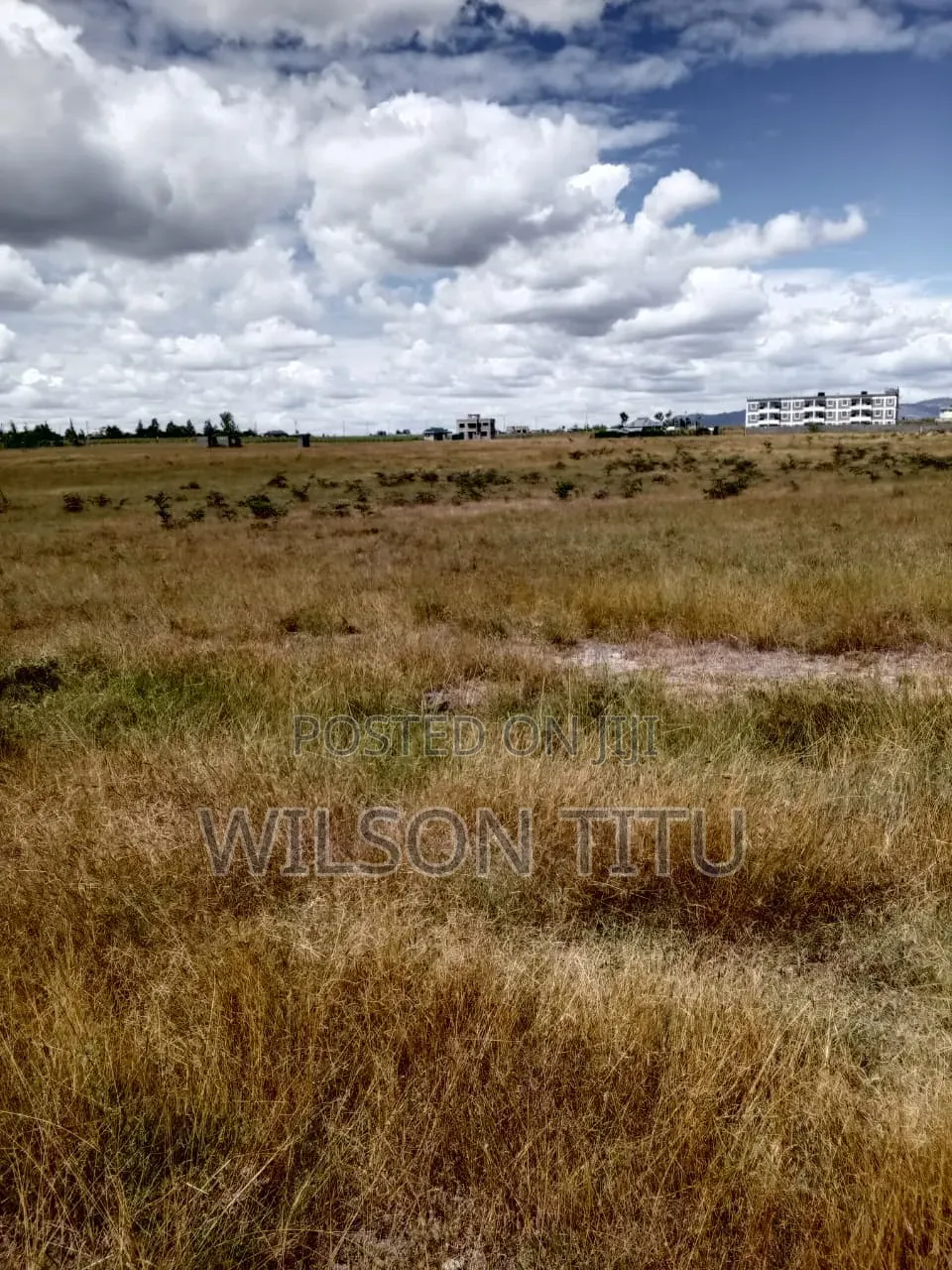 Four Acres of Land