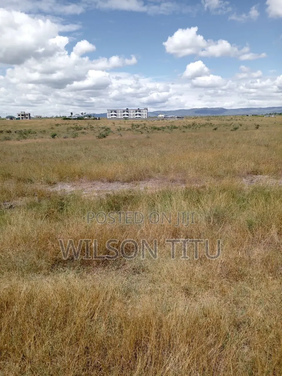 Four Acres of Land
