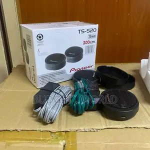 Pioneer Ts-S20 High Output Super Tweeter – Premium Car Audio Accessory