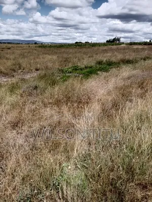 Land for Sale Two Acres It in Malaa
