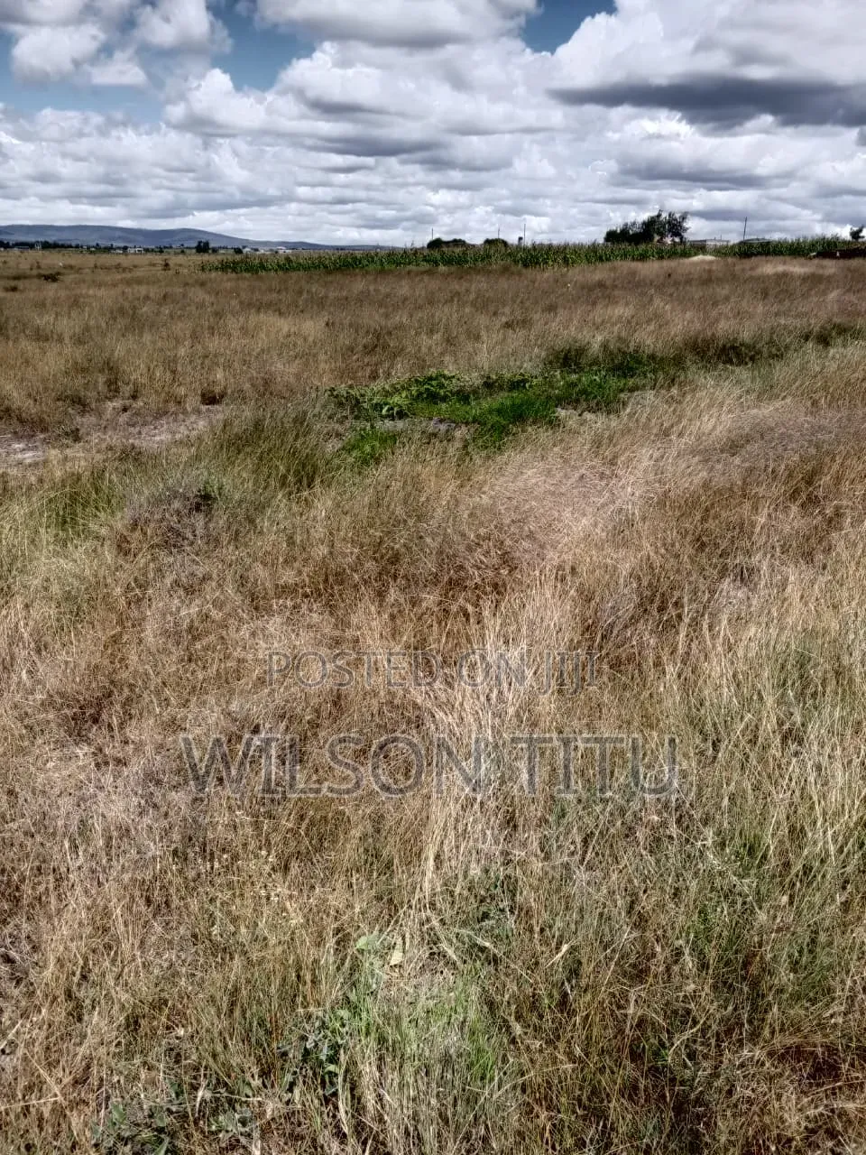 Land for Sale Two Acres It in Malaa