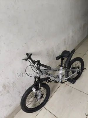Beijing Bike