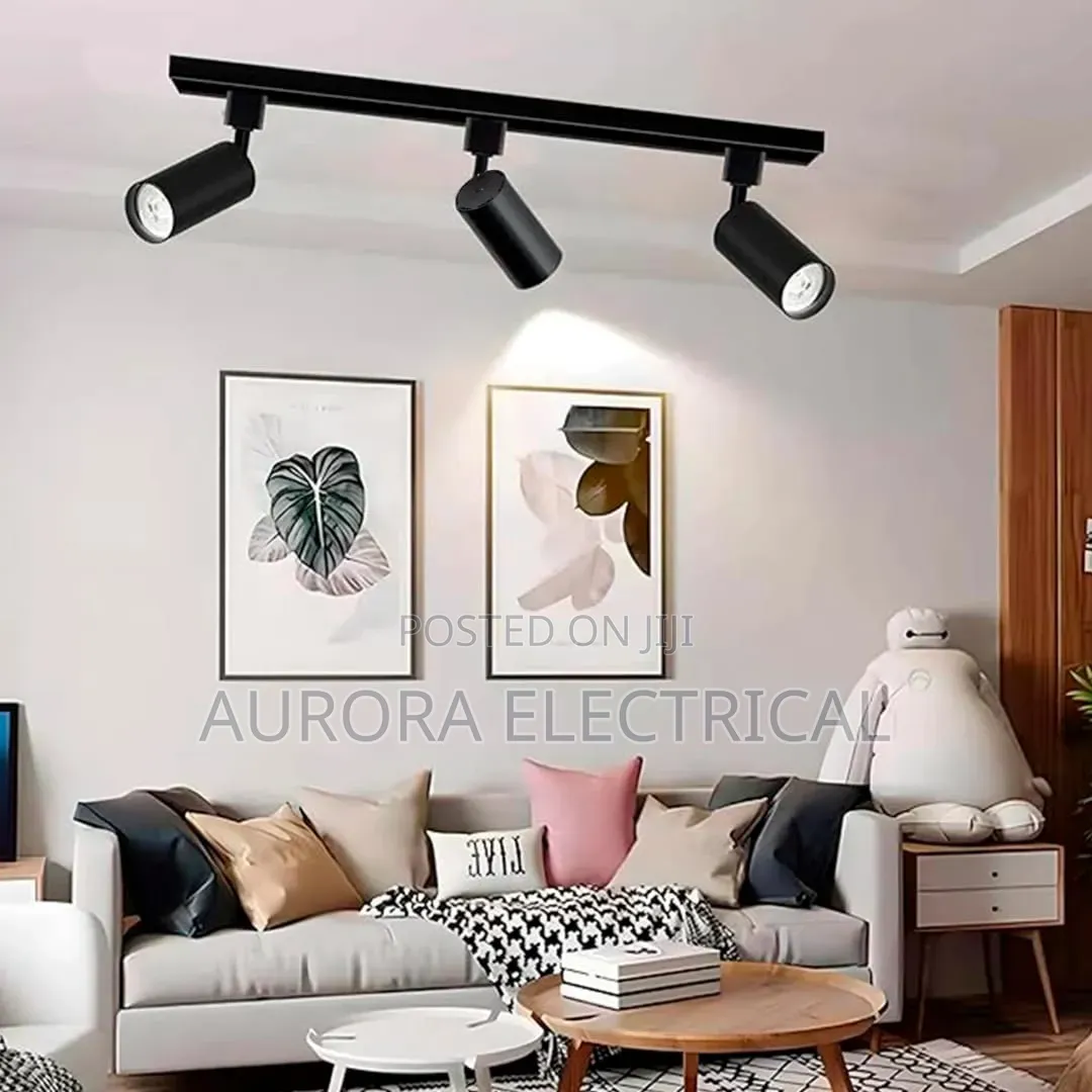 Track Light Complete With Rail