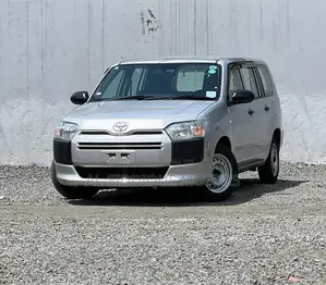Toyota Probox 1.5 DX 2WD 2021 Silver