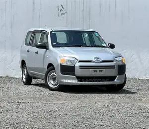 Toyota Probox 1.5 DX 2WD 2021 Silver