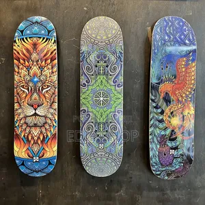 Adult Generic Skate Boards