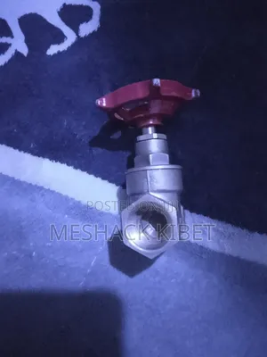 Gate Valve