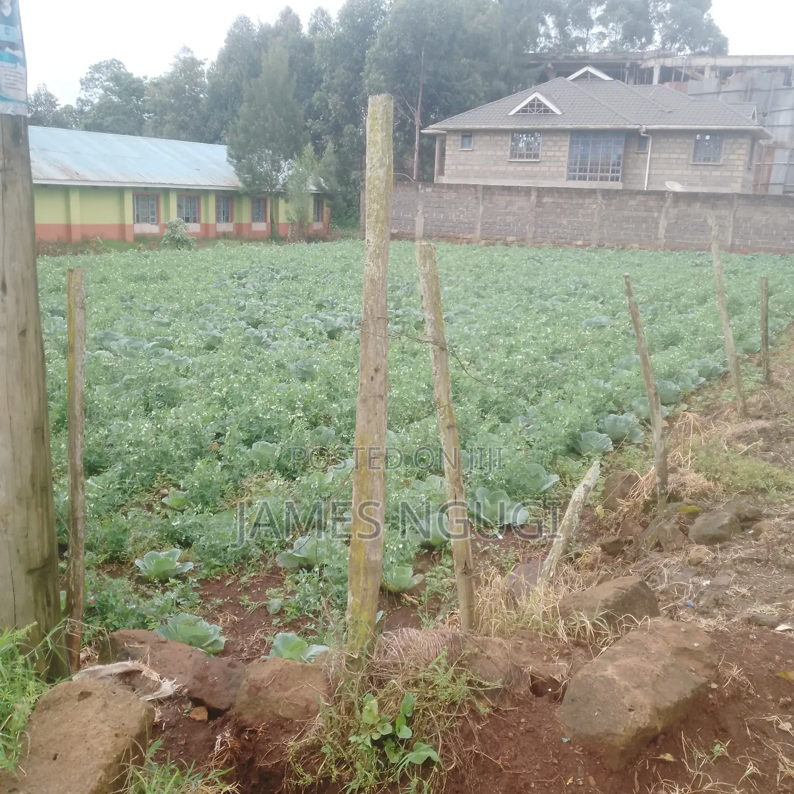 Plot for Sale in Zambezi